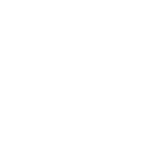 NOLTON BRAVOS ADVISORY