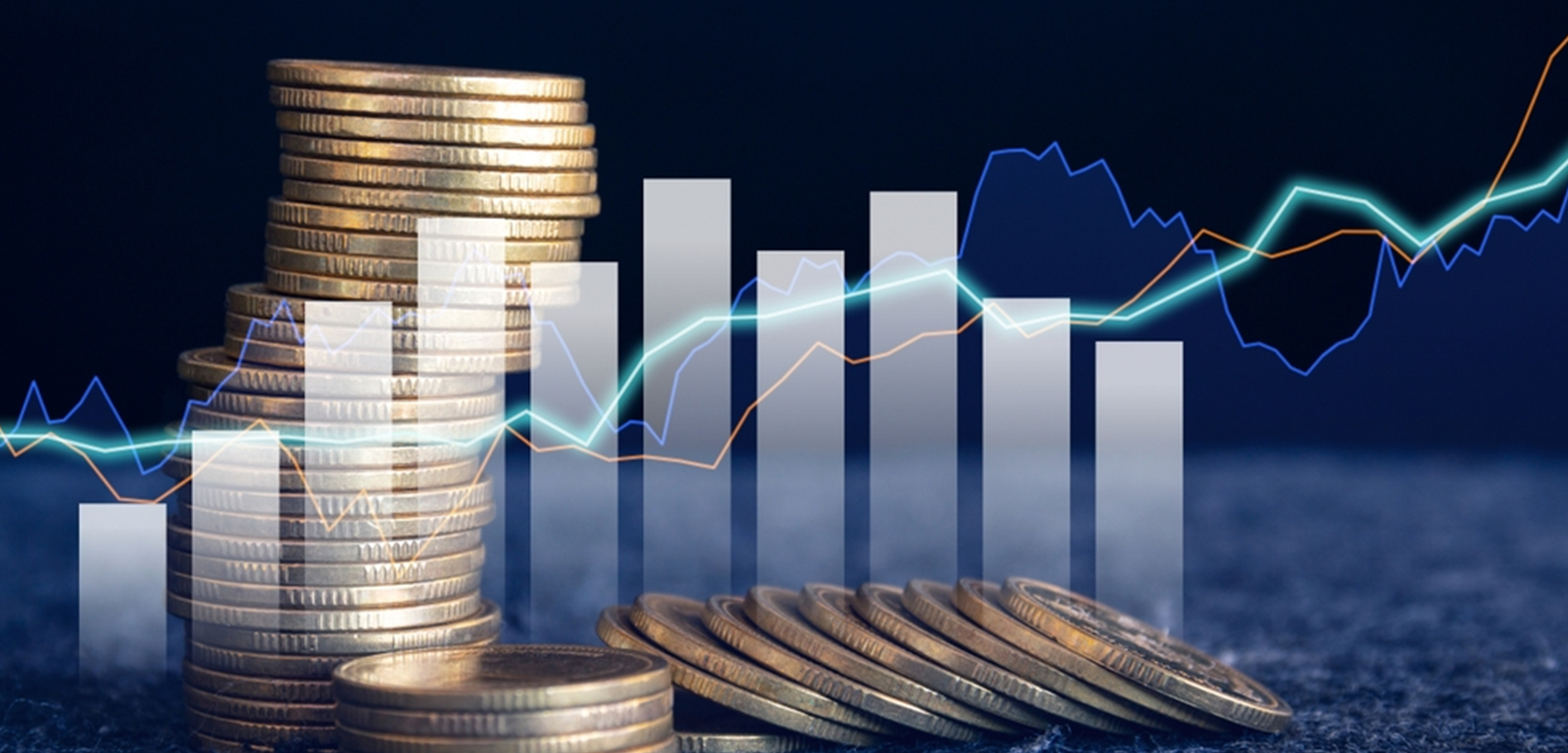 service-details-finance-capital-banner